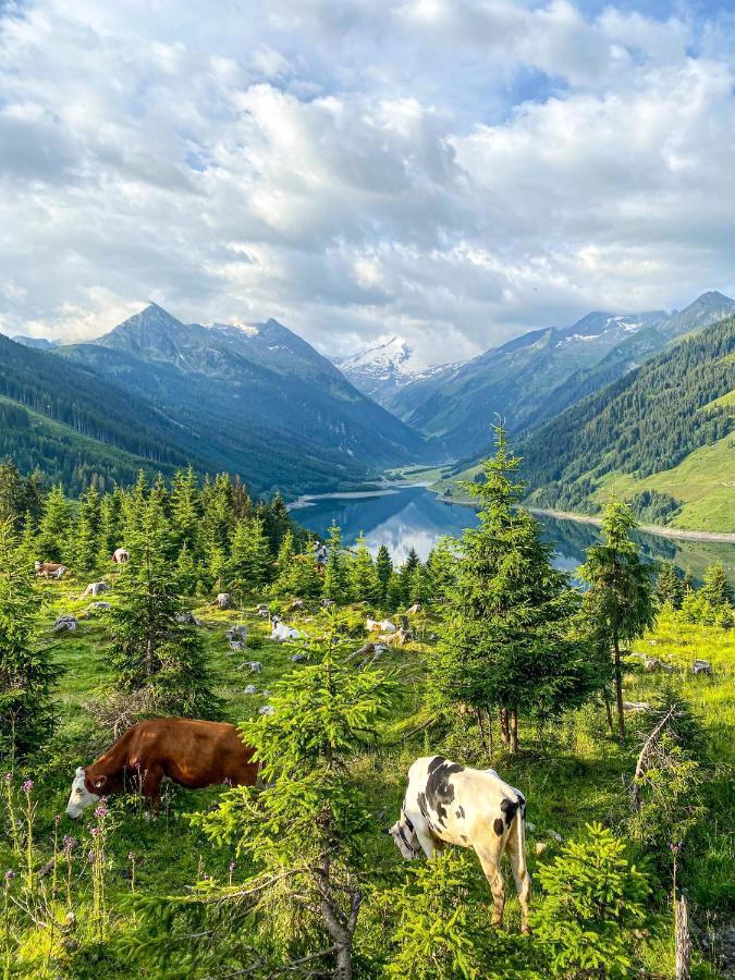 Schmezlhof Διαμέρισμα Zell am Ziller Εξωτερικό φωτογραφία
